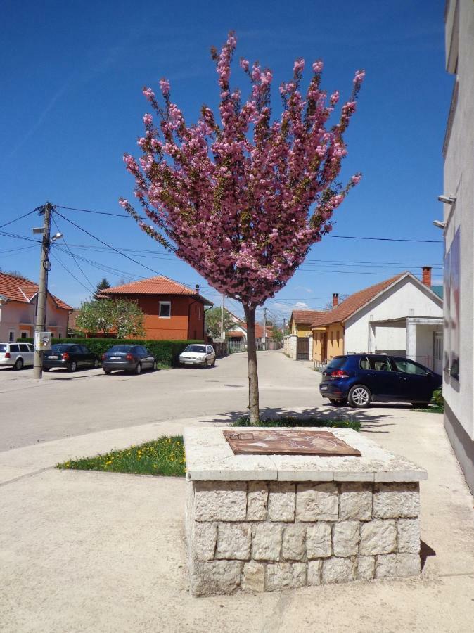 Apartman Bedem Никшич Экстерьер фото